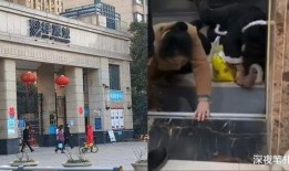 16楼大妈现身爆料视频,揭秘小区不为人知的秘密