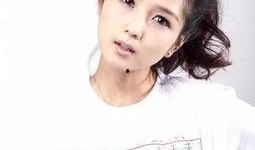 娱乐爆料何洁简介视频大全,精彩视频大全回顾