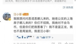 汪小菲前妻爆料视频,揭秘婚姻内幕与情感纠葛