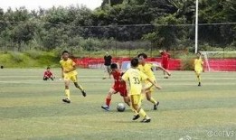 足球爆料假球视频大全,假球视频大全深度剖析