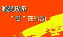 盘州市正能量最新爆料,揭秘感人故事，传递社会正能量