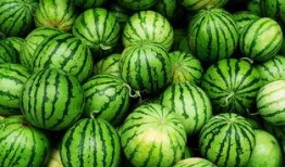 常州网红吃瓜事件真相,揭秘背后真相与争议