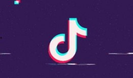 最新维基解密爆料音频,揭秘政坛内幕与权力斗争