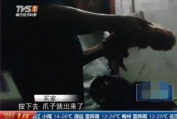 屠宰最新爆料视频大全集,屠宰行业内幕大揭秘视频全集深度解析