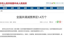 猪瘟最新爆料消息新闻,揭秘病毒传播途径与防控措施