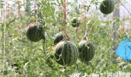 徽县网红吃瓜完整视频,全程视频揭秘幕后真相