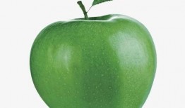 吃瓜少女衣柜视频下载免费,揭秘“吃瓜少女衣柜”视频免费下载攻略