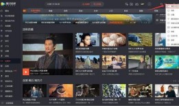 九红电台爆料视频播放大全,揭秘娱乐圈幕后真相