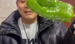 满城网红吃瓜事件,网红吃瓜事件背后的网络狂欢与反思