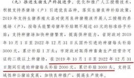 猪瘟最新爆料消息新闻,揭秘病毒传播途径与防控措施