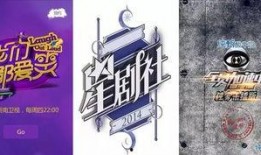 综艺节目演员爆料视频,演员爆料视频深度解析