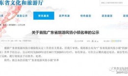 广东省新闻爆料汇总,聚焦热点事件，洞察民生动态