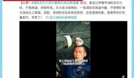 武汉野猪爆料事件视频播放,真相与谣言的较量