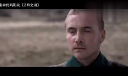 芬兰四月之泪在线观看,芬兰历史记忆的深情回望