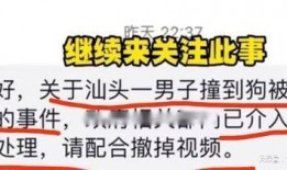 广东主播爆料事件视频,揭秘背后真相